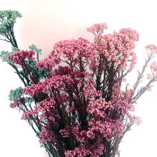 1 buquê de flores secas flores secas preservadas sonho de buquê de grama para casa decoração de casamento florais naturais reais 2024 - compre barato