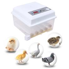 220V Eggs Incubator Brooder Automatic Farm Incubation Tools Bird Quail Chick Hatchery Poultry Hatcher Turner 2024 - buy cheap