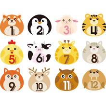 12 Pcs Animal First Year Monthly Milestone Photo Sharing Baby Belly Stickers 1-12 Months 2024 - buy cheap