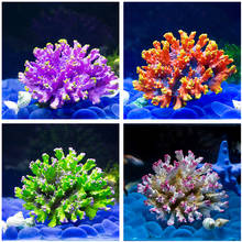 Decoração de aquário coral, pedra de resina artificial com ornamento para decoração, paisagismo, aquário, acessórios para tanque de peixes 2024 - compre barato