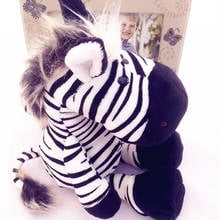 Cartoon Jungle Brother Zebra Plush Toy Doll for Baby Kids Birthday Gift 25cm 35cm 50cm Stuffed Animal Dolls 2024 - buy cheap