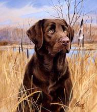 5D DIY Suqare Diamond Painting Dog Crystal Diamond Painting Cross Stitch Lovely Labrador Dog Animal Needlework Home Decorative 2024 - buy cheap