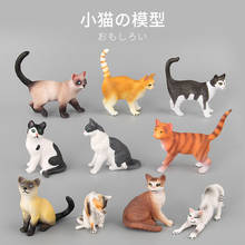 Simulation Animal Figure Cute Cat Model Collectible Figurine Pet Kitten Action Figures Toys for Children Kids Doll Home Decor 2024 - buy cheap