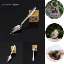 2pcs/set New Bird Parrot Feeding Spoon Stainless Steel Water Milk Powder Feeder Spoons Bird Supplies 2024 - buy cheap