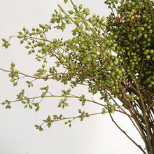 8-10 stems Eucalyptus Millet Berries Dried Flowers Bouquet Branches Real Flowers Ins Nordic Living Room Home Decoration 2024 - buy cheap