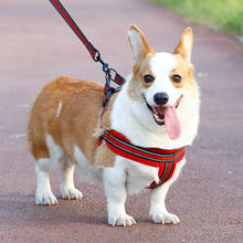 Dog Leash Harness Set Collar Reflective Nylon Mesh Adjustable Walking Training Traction Leads for Small Medium Large Pets Corgi 2024 - buy cheap