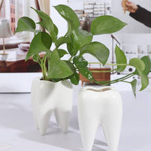 1 шт в форме зуба Керамика цветочный горшок плантатор держатель для растений горшок для растений 2024 - купить недорого