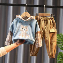 Комплекты одежды для малышей Комплект для малышей 2021 осенне-весенние комплекты детской одежды для новорожденных детей, рисунок медведя для мальчика трикотажная кофта на молнии с капюшоном + штаны, 2 предмета Детский костюм 2024 - купить недорого