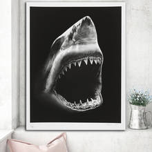 Shark Canvas Paintings Animals Wall Art Canvas Prints Cuadros Decorative Pictures Canvas Art Sharks Posters For Home Wall Decor 2024 - buy cheap