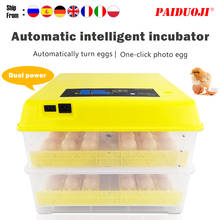 Hot Sale!New 48 Eggs Incubator Multifunctional Full Automatic For Chicken Duck Goose Quail Brooder 12V220V 2024 - buy cheap