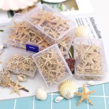 1 Box Natural Starfish Seashell Beach Craft Natural Sea Stars DIY Beach Wedding Decoration Epoxy Resin  Art Crafts1-5cm 2024 - buy cheap