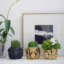 Vaso com cabeça de leão para casa, arranjo de flores, vaso de plantas verdes, suculentas, vaso de flores em vaso 2024 - compre barato