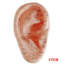 New! Ear   earpins model model auricular application model ear   points model17 English version 2024 - buy cheap