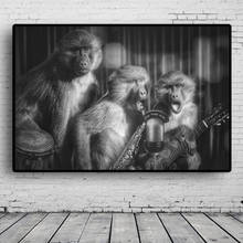 Preto e branco macaco arte cartazes e cópias banda animal cantor pinturas na parede arte da lona fotos para sala de estar decoração 2024 - compre barato