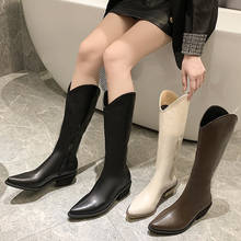 2020 Luxury Western Cowboy Boots Women Shoes Knee-high Boots Pointed Toe Long Boots Women Autumn Boots Winter Shoes Female Shoes 2024 - buy cheap