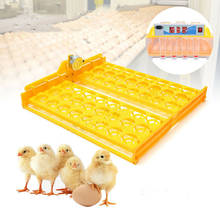 Girador automático de 56 huevos, pollo, pato, codorniz, aves de corral, 110V, bandeja para incubadora 2024 - compra barato