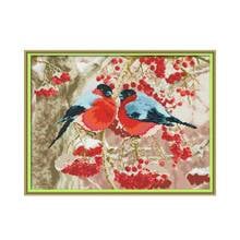 Kit de ponto cruz redondo quadrado bullfinch, bordado diy, bordado artesanal 2024 - compre barato