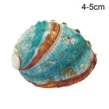 4-5cm Colorful Abalone Shell Natural Shell Conch Home Decoration Photography Props Wedding Decoration Crafts Ornaments 2024 - buy cheap