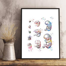 Pregnancy Fetus Development Abstract Art Posters Print Embryo Biology Medical Art Watercolor Canvas Painting Obstetrician Gifts 2024 - compre barato