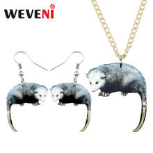 WEVENI Acrylic Grey Latin America Possum Necklace Earrings Jewelry Sets Novelty  Fashion Kid Teens Charms Party Gift Accessory 2024 - buy cheap