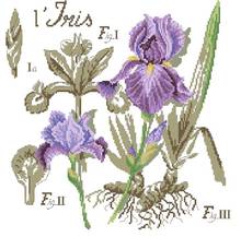 Factory Sale Shadow Series  Purple Iris Flower Cross Stitch Kit Embroidery Package 2024 - buy cheap