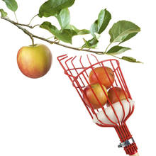 Ferramenta de colheita de frutas de efeito estufa de metal prático multi-funcional clássico maçãs peras pêssegos laranja apanhador 2024 - compre barato