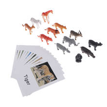 Montessori Matching Cards & Animal Figures - Set of 12 - Early Learning Manipulative for Kids 2024 - buy cheap