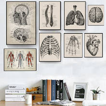 Arte de pared de anatomía humana, carteles e impresiones Vintage de Hospital, decoración de médico, oficina, esqueleto, Cráneo anatómico, pintura en lienzo 2024 - compra barato