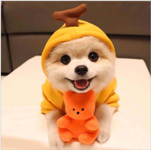 Pet Dog Small, Medium And Large Dog Cat Autumn And Winter Sweater Fleece Cclothes 2024 - buy cheap