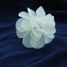 Anel de guardanapo flor acrílica frete grátis, suporte de guardanapo flor acrílico para casamento, muitas cores, 12 peças 2024 - compre barato