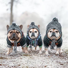 Chapéus de inverno para cachorros, quentes, à prova de vento, tricô, buldogue francês, chapéu para cães chihuahua, bola fofinha, acessórios, chapéu de cachorro de estimação 2024 - compre barato