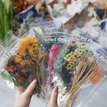 6pcs/bag Vintage Weekend Flowers Journal Decorative PET Stickers Scrapbooking Stick Label Diary Album Stickers 2024 - buy cheap