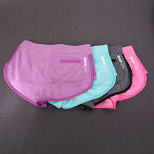 Shorts esportivo feminino, para ioga, fitness, atlético, corrida, fitness, frete grátis 2024 - compre barato