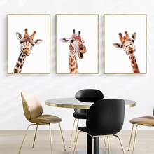 Girafa engraçado fotos animais selvagens sem moldura pintura da lona arte da parede para sala de estar decoração casa fotos e impressões 2024 - compre barato