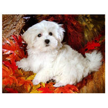 diy diamond painting cute white dog mosaic embroidery leaves animal Full Square Round drill craft supplies home decor AA2324 2024 - buy cheap