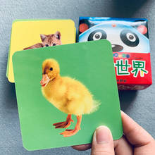 Tarjetas Flash de animales de 48 piezas para niños pequeños, tarjetas de palabras en inglés de guardería preescolar, juguetes educativos para niños, juegos de aprendizaje 2024 - compra barato