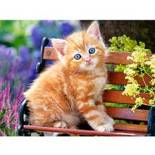 5D DIY Animal diamond painting full square kitten diamond painting cat picture with rhinestones embroidery home decor gift Sale 2024 - buy cheap