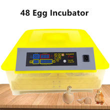 Мини 48 яйцо мини инкубатор 80 Вт полностью автоматический мини курица утка гусь перепелиные яйца инкубационная машина 2024 - купить недорого