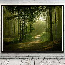 Nature Trees Grass Landscape Painting Forest Scenery Silk Posters and Prints Art Modern Home Picture Wall Decoration Living Room 2024 - buy cheap