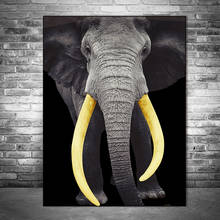 Elefante africano quadros em tela animais arte da parede posters e impressões pop arte da lona fotos para sala de estar decoração da parede 2024 - compre barato