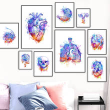Красочная анатомия, настенная живопись на холсте, скандинавский мозг, сердце, почки, плакаты и принты, абстрактные картины, врачи, офисный Декор 2024 - купить недорого