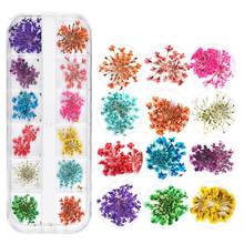 12 Girds/Set Mix Dried Flowers Nail Decorations Jewelry Natural Floral Leaf Stickers 3D Nail Art Designs Manicure Accessories 2024 - buy cheap