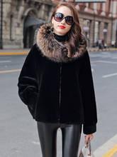 Enfrentado casaco de pele dupla feminino casacos de pele de lã natural inverno jaqueta feminina gola de pele de guaxinim jaqueta de couro genuíno my4462 s 2024 - compre barato