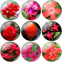 TAFREE Red Flowers 12mm/15mm/16mm/18mm/20mm/25 mm Photo Glass Cabochon Dome Flat Back DIY Jewelry Findings Making FL301 2024 - buy cheap
