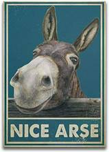 Nice Arse Funny Donkey Toilet Bathroom Artwork Wall Home Decor Poster no Frame Vintage Style Tin Sign Metal Sign Metal Decor 2024 - buy cheap