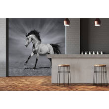 Фото обои 3D стерео художественная черно-белая лошадь настенная живопись настенные наклейки ванная комната спальня фон обои Декор 2024 - купить недорого