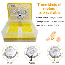Automatic Turn Eggs 48/96 Egg Incubator Farm Poultry Hatcher Machine Temperature Display For Chicken Eggs Incubator 2023 - buy cheap