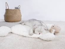 Pet Sleeping Mat Cat Mat Dog Blanket Lamb Cotton Floor Mat Soft Pet House Thicken Warm Sleeping Beds Pet Supplies 2024 - buy cheap