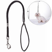 Cuerda con Clip de bloqueo de lazo para mascotas, accesorios para mesa de aseo, brazo de baño, correa de nailon para gato y perro, 2 uds., envío directo 2024 - compra barato