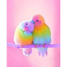 DIY 5D Diamond Painting Love Bird Cross Stitch Home Decoration Diamond Embroidery Mosaic Full Square Christmas Gift ZWQ 2024 - buy cheap